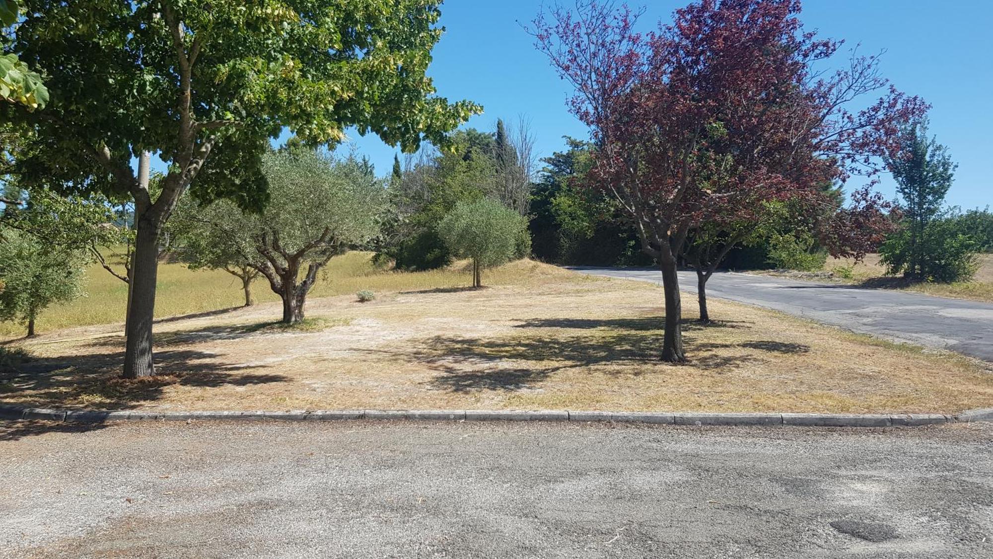 Villa Due Tigli Arcevia Esterno foto