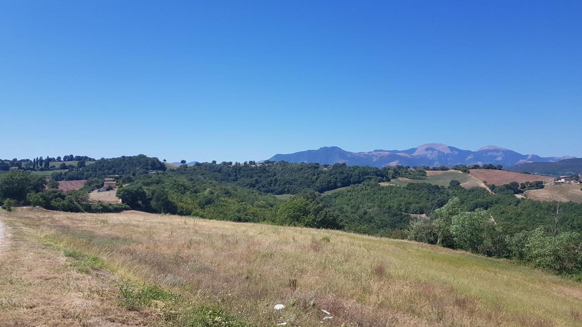 Villa Due Tigli Arcevia Esterno foto