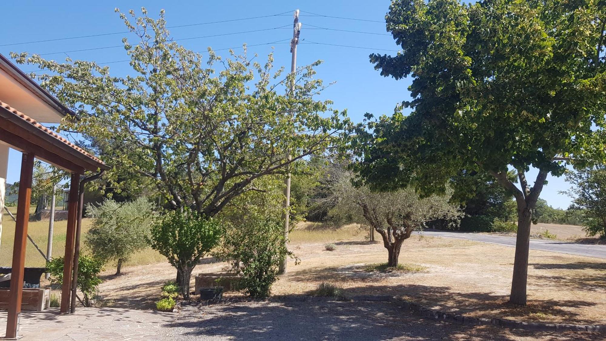 Villa Due Tigli Arcevia Esterno foto