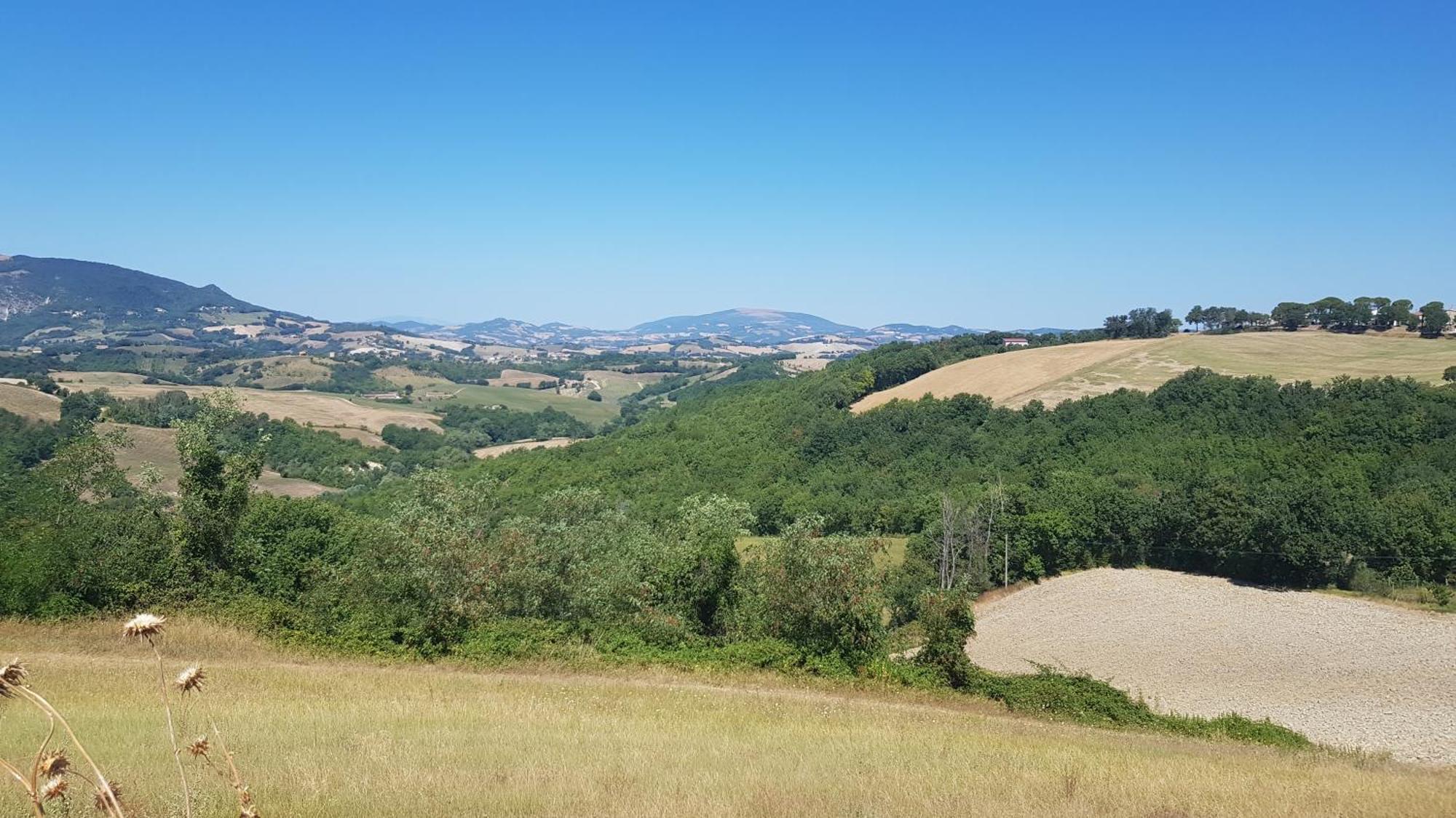 Villa Due Tigli Arcevia Esterno foto