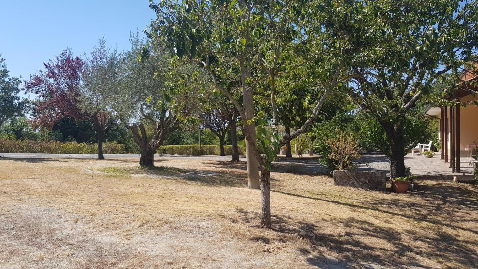 Villa Due Tigli Arcevia Esterno foto